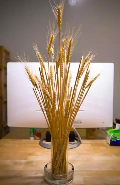 我想爸爸妈妈了绘本,亲爱的爸爸妈妈我想你们了