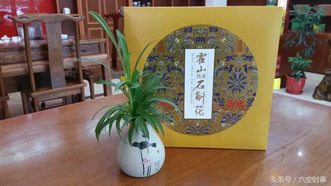 喜迎首届中国农民丰收节!金安这些“明星”产品集中亮相