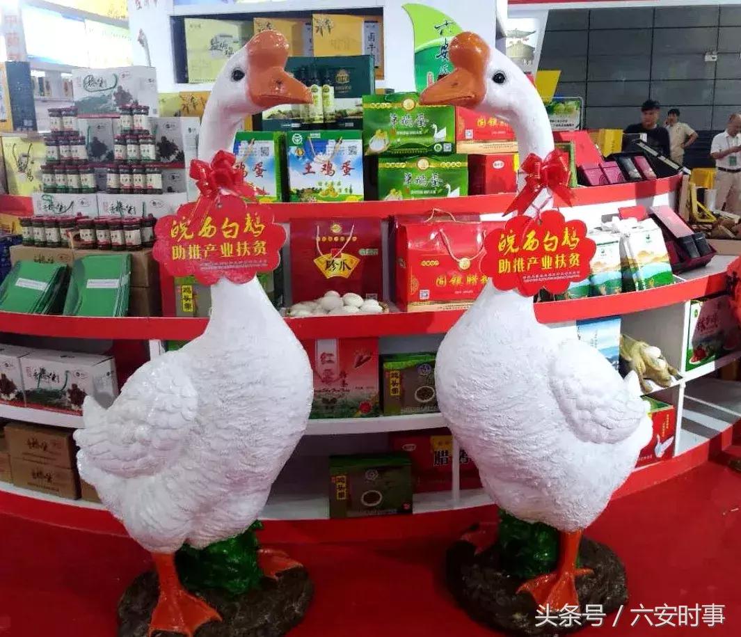 喜迎首届中国农民丰收节!金安这些“明星”产品集中亮相