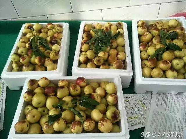 喜迎首届中国农民丰收节!金安这些“明星”产品集中亮相