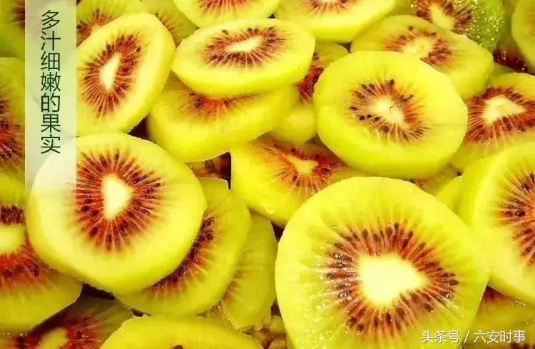 喜迎首届中国农民丰收节!金安这些“明星”产品集中亮相