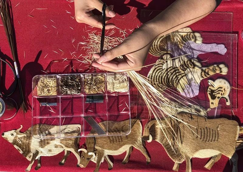 涓芥睙鎵撴崬鎵嬭〃,涓芥睙钀芥按浜哄憳鎵撴崬