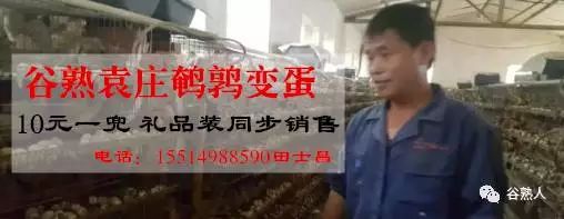 浜胯揪绉戞妧娣卞湷鏈夐檺鍏徃,浜胯揪绉戞妧澶ц繛鏈夐檺鍏徃