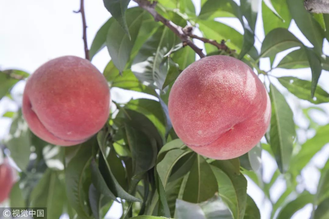 成都前十强区县排名,成都百强区排名