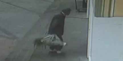 幼儿园园长给孩子吃发霉米被拘留,曝光一家幼儿园给小孩吃腐烂食品