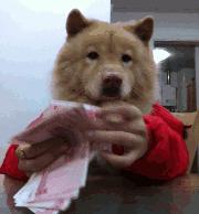 出国签证被拒了怎么补救,首次办理签证因没有出国经验拒签