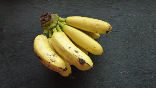 为什么香蕉制品味道和香蕉不一样,为什么有的香蕉吃起来味道怪怪的