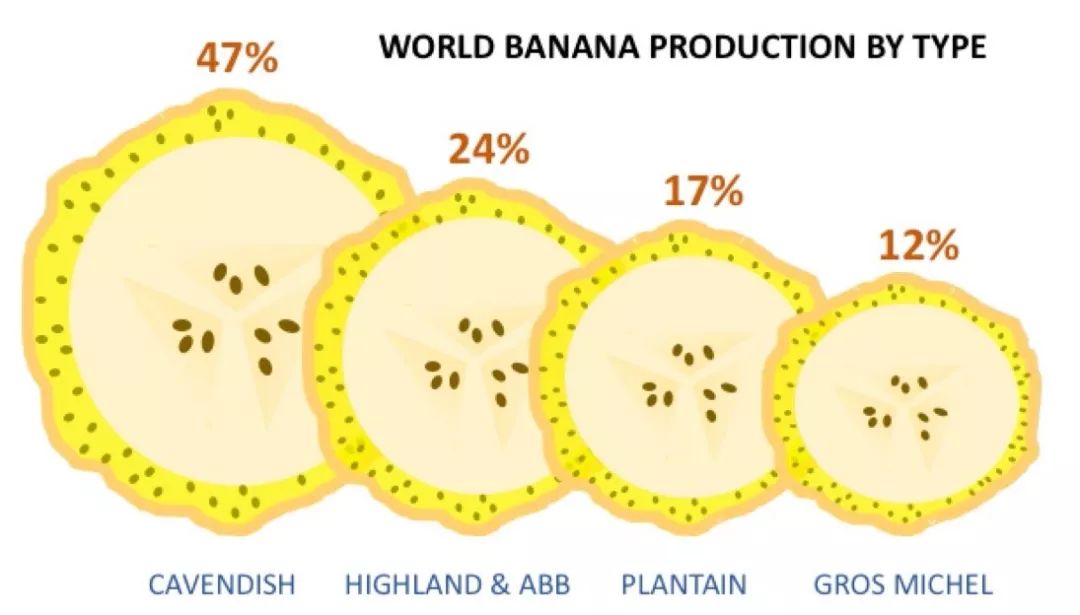 为什么香蕉制品味道和香蕉不一样,为什么有的香蕉吃起来味道怪怪的