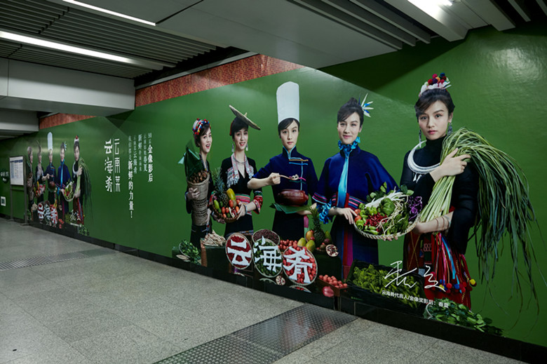 云海肴云南菜300袋,云海肴云南菜全国有多少店