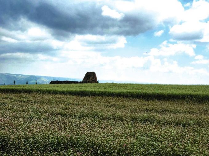 陕西省际边关调查：定边边城意蕴今犹在