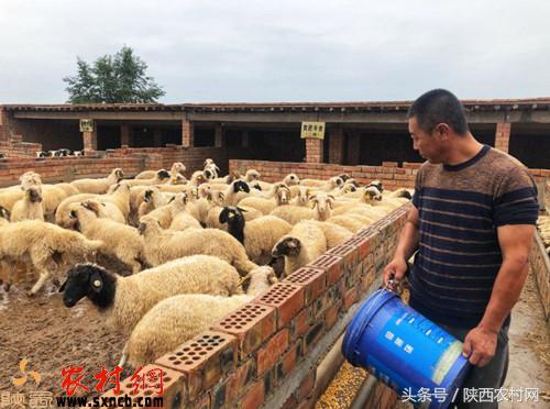 定边:边城意蕴今犹在