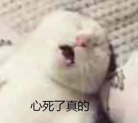 微信一不小心发错了尴尬瞬间,微信发错消息怎么化解尴尬