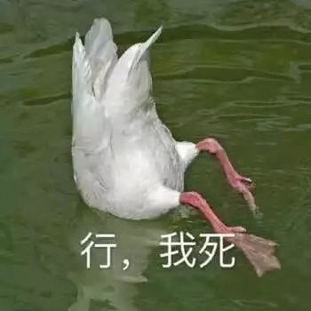 微信一不小心发错了尴尬瞬间,微信发错消息怎么化解尴尬