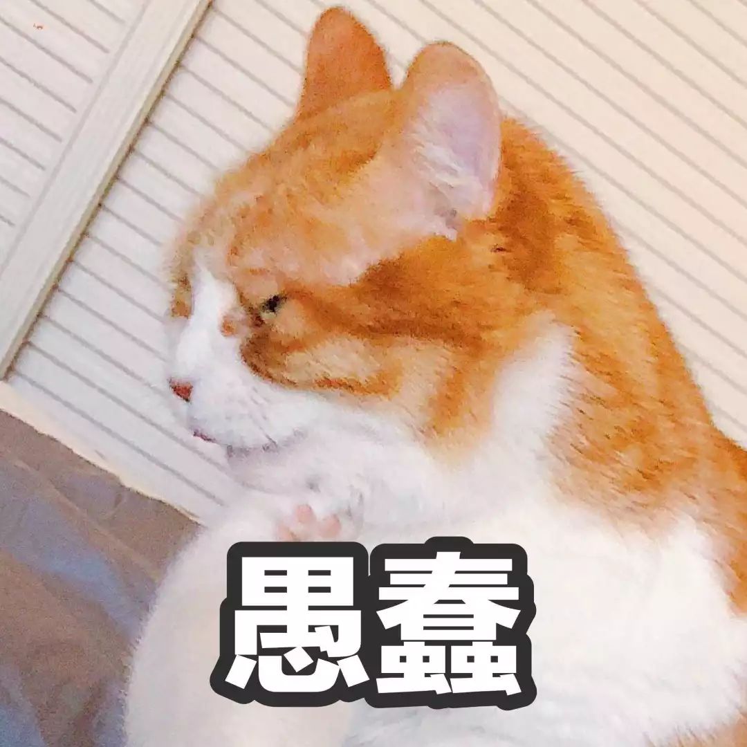 微信一不小心发错了尴尬瞬间,微信发错消息怎么化解尴尬