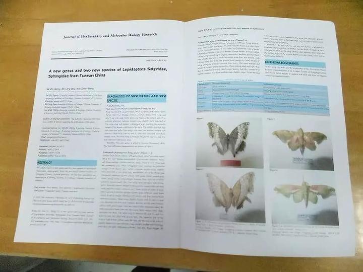 露笑集团诸暨,诸暨市露笑集团