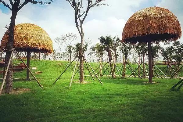 南通野生动物园打折,南通野生动物园优惠门票夜场