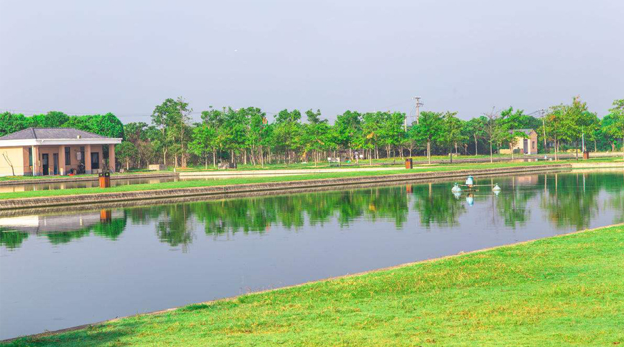 蓝藻的危害和防治的方法,蓝藻治理方法对比