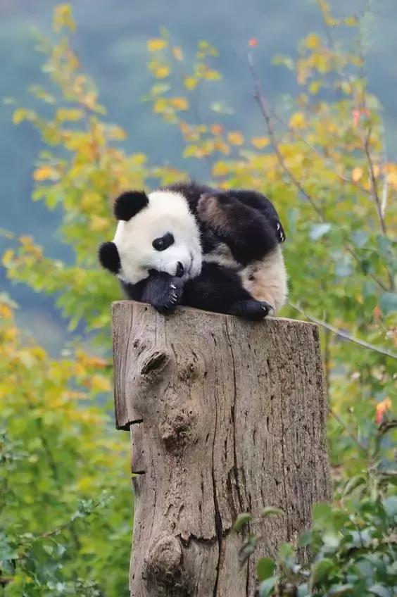 进藏哪条路线风景最好,进藏路线哪条线风景最好