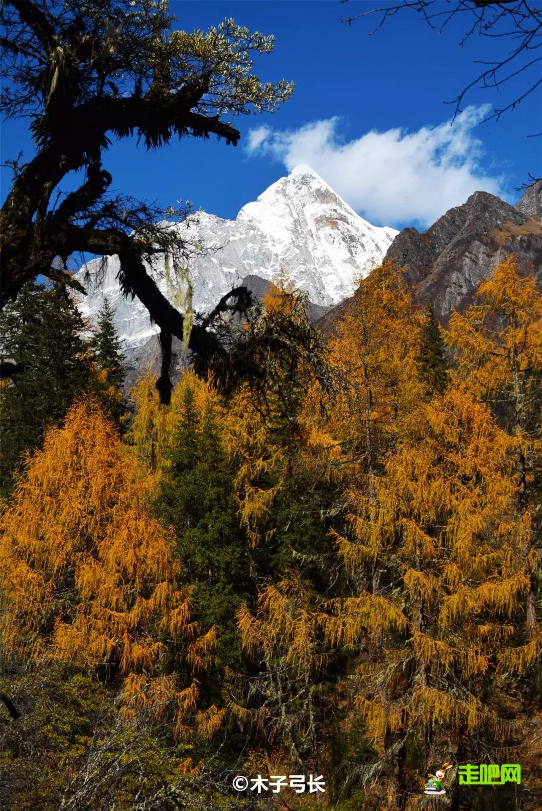 进藏哪条路线风景最好,进藏路线哪条线风景最好