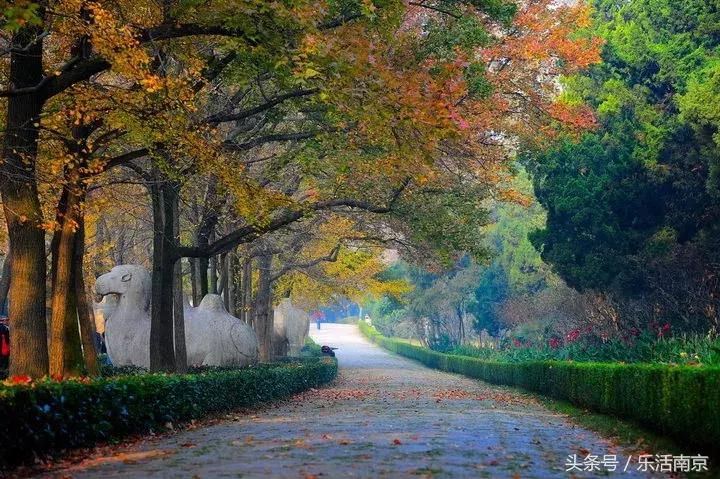 南京紫金山各大景区,南京旅游景点人少看紫金山