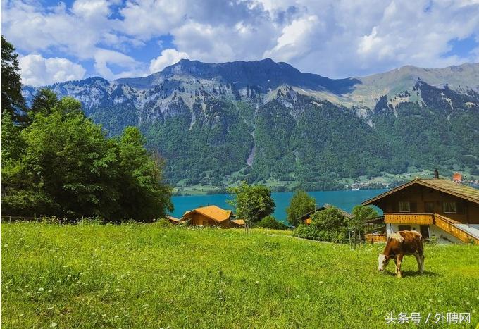 瑞典vs瑞士冬奥,瑞典对瑞士实力分析