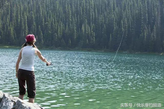 秋季鲤鱼开口最佳时间,秋季鲤鱼口轻怎么办