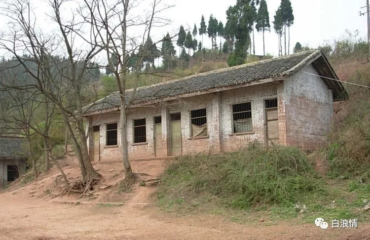 襄渝线散忆抢救小武子（一）