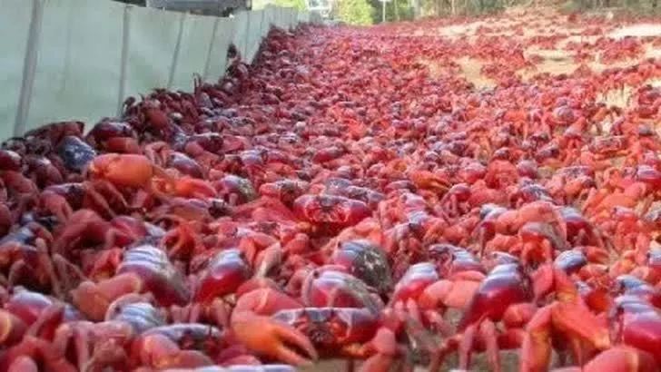 台风山竹最后影响,台风山竹发生的变化