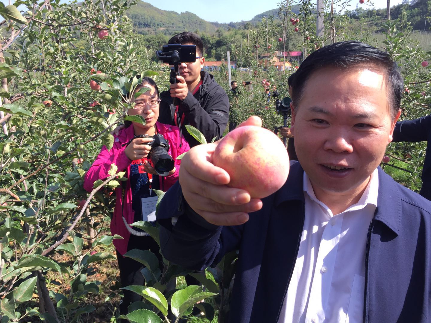 灵宝苹果采摘节开幕式,河南灵宝苹果熟了邀您来采摘