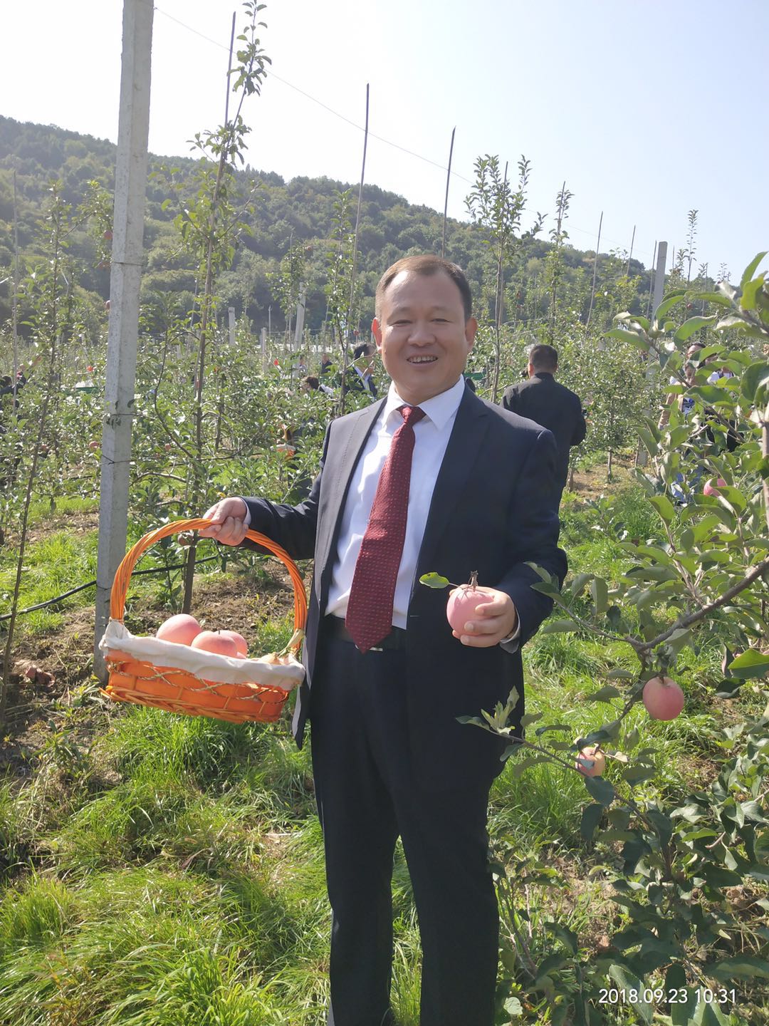 灵宝苹果采摘节开幕式,河南灵宝苹果熟了邀您来采摘