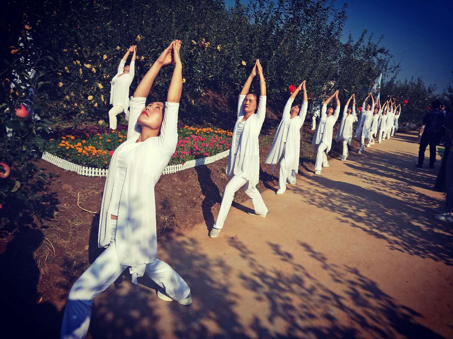 灵宝苹果采摘节开幕式,河南灵宝苹果熟了邀您来采摘