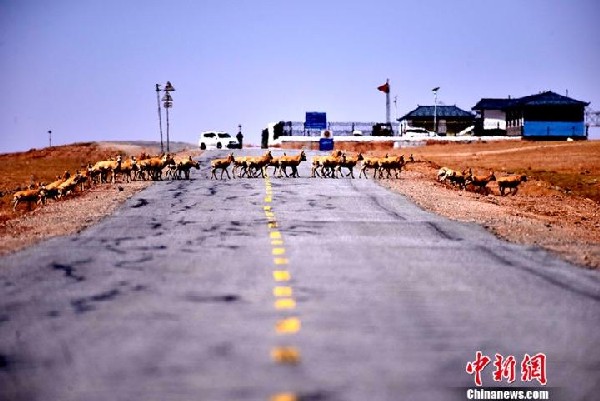 我国这个被世界认可的“净土”,是“生命的禁区”