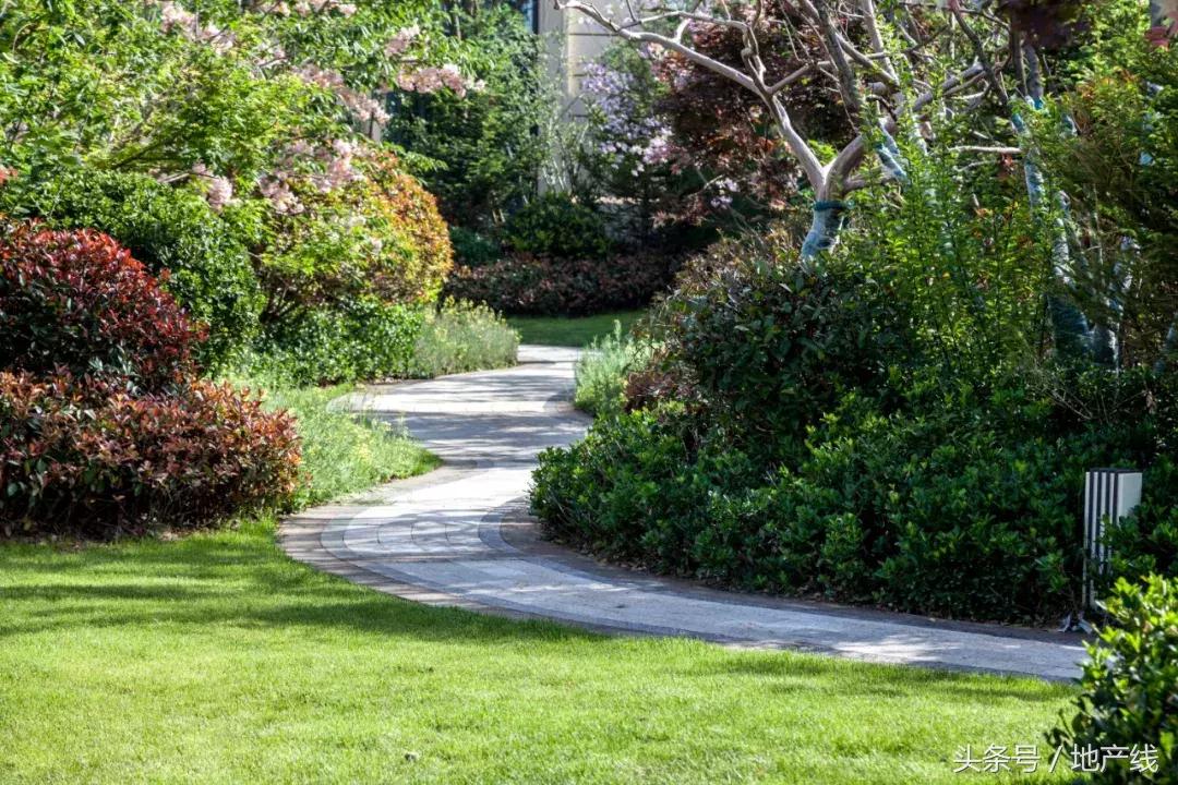 青岛樾府样板,美尚奖