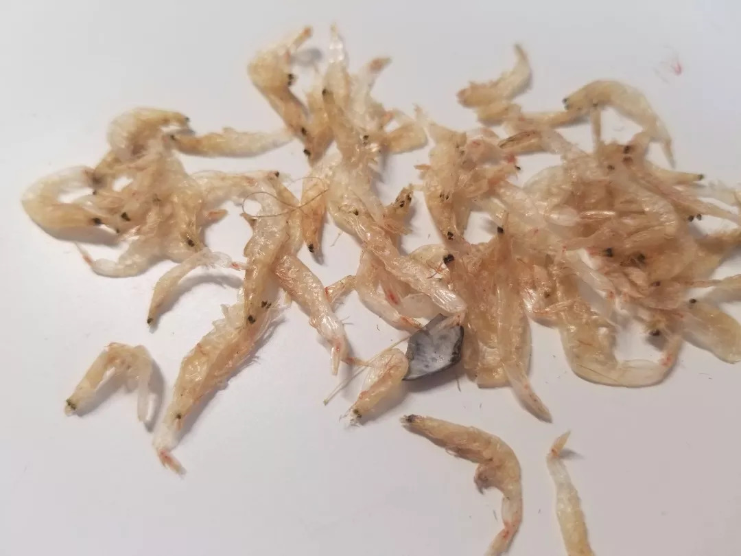 虾皮特级无盐补钙儿童,含钙量最高的食物排名虾皮和牛肉