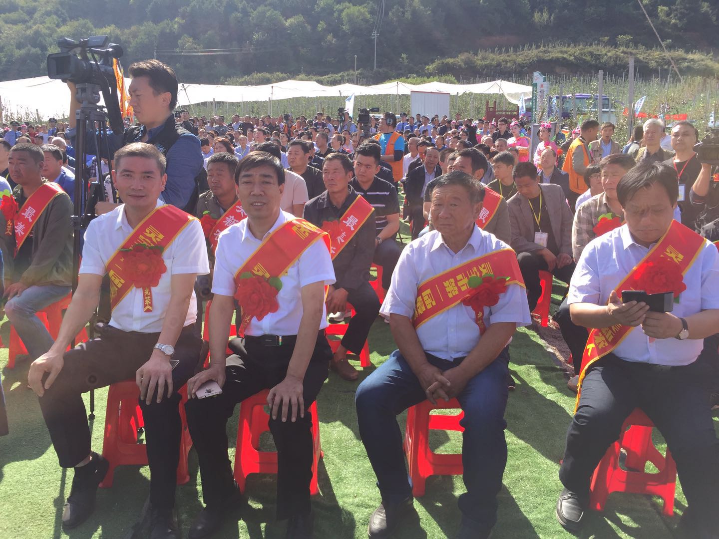 灵宝苹果采摘节开幕式,河南灵宝苹果熟了邀您来采摘