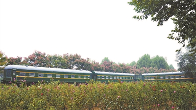 被抛弃的蒸汽机车,中国蒸汽机车退役地点