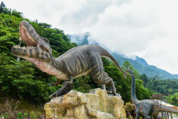 这个景区有多美,陈学冬团友游景点