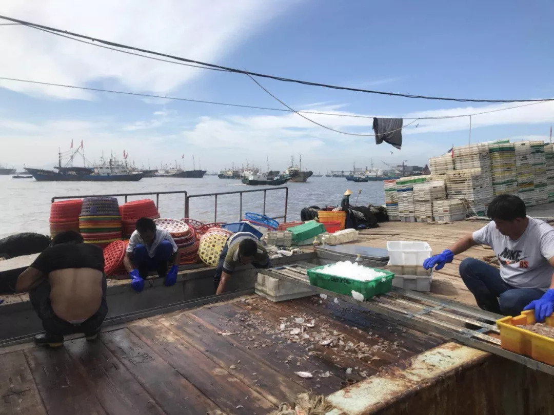 虾皮特级无盐补钙儿童,含钙量最高的食物排名虾皮和牛肉