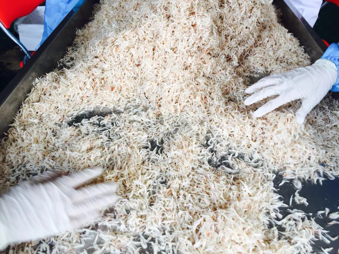 虾皮特级无盐补钙儿童,含钙量最高的食物排名虾皮和牛肉