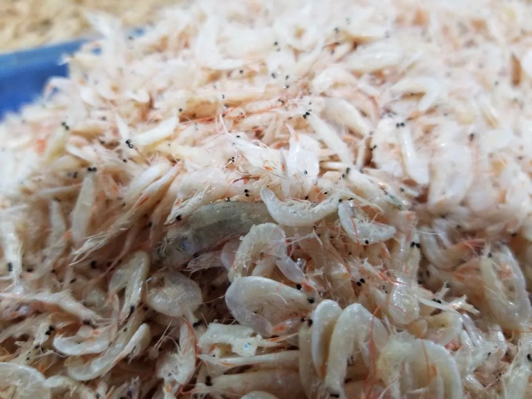 虾皮特级无盐补钙儿童,含钙量最高的食物排名虾皮和牛肉