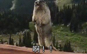 哪里宽带垄断最严重,三大运营商宽带融合套餐对比