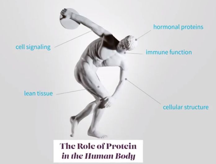 我们是怎么慢慢变穷的,我们是怎样胖起来的