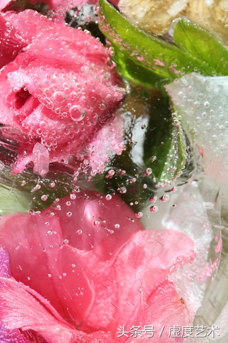 玛丽的冰花园美得让人心碎