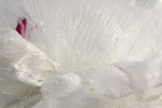 玛丽的冰花园美得让人心碎