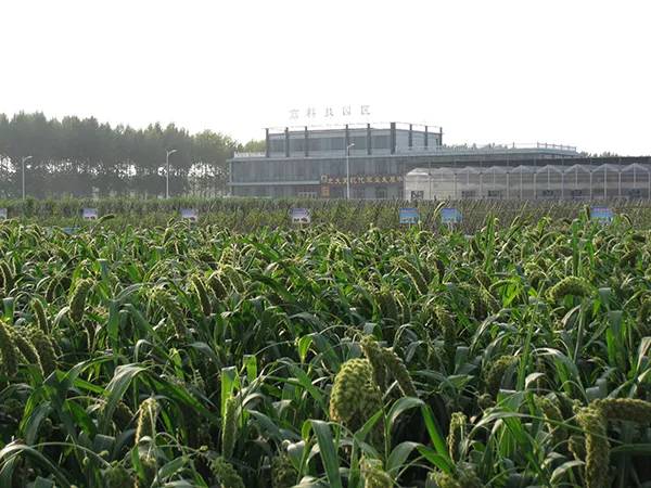 农秀才：农业农村部推荐100个休闲农业和乡村旅游精品景点线路