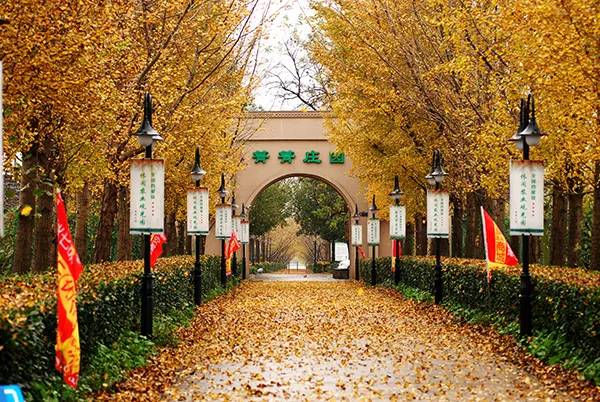 农秀才：农业农村部推荐100个休闲农业和乡村旅游精品景点线路