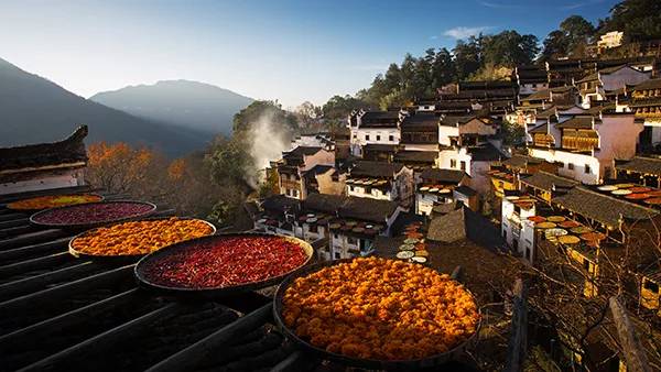 农秀才：农业农村部推荐100个休闲农业和乡村旅游精品景点线路