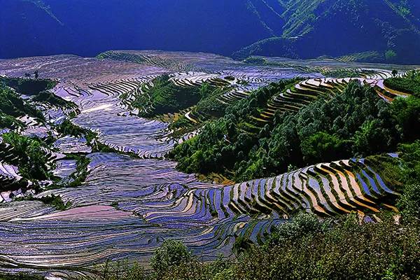 农秀才：农业农村部推荐100个休闲农业和乡村旅游精品景点线路