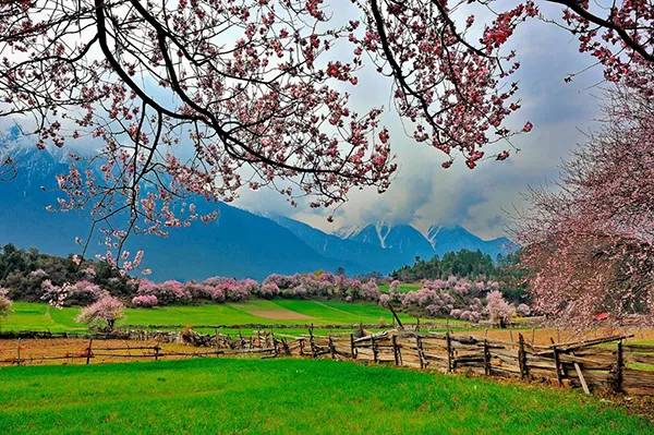 农秀才：农业农村部推荐100个休闲农业和乡村旅游精品景点线路