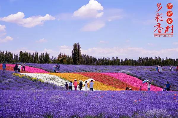 农秀才：农业农村部推荐100个休闲农业和乡村旅游精品景点线路